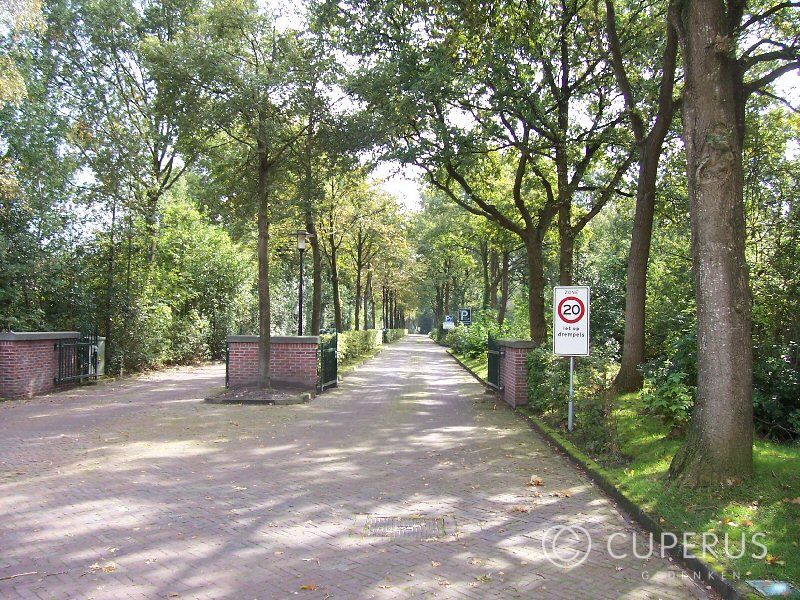 grafmonument Nieuweschoot Begraafplaats Schoterhof  ( gemeente)