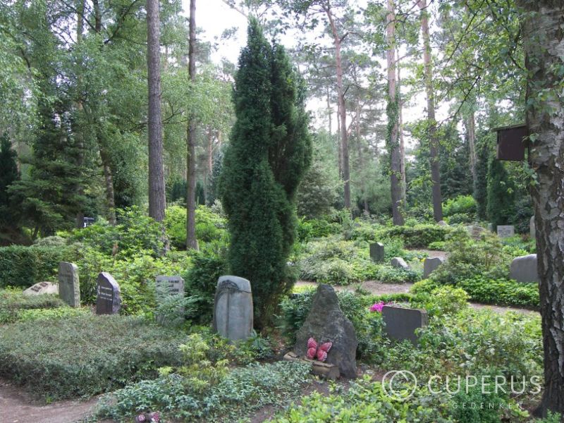 grafsteen Diepenveen Begraafplaats Tjoenerhof