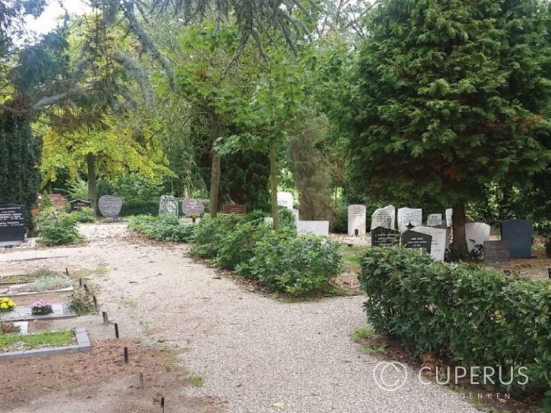 grafsteen Reeuwijk Begraafplaats Reeuwijk