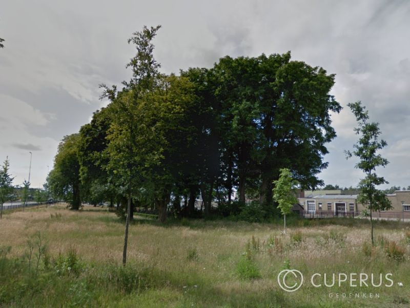 grafsteen Steenwijk Joodse Begraafplaats Steenwijk