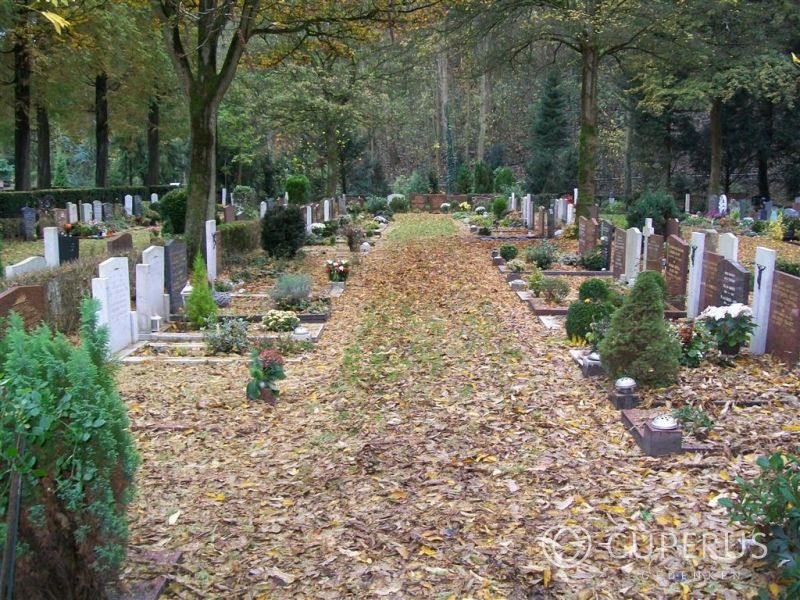 grafstenen Castricum Begraafplaats (onderlangs)