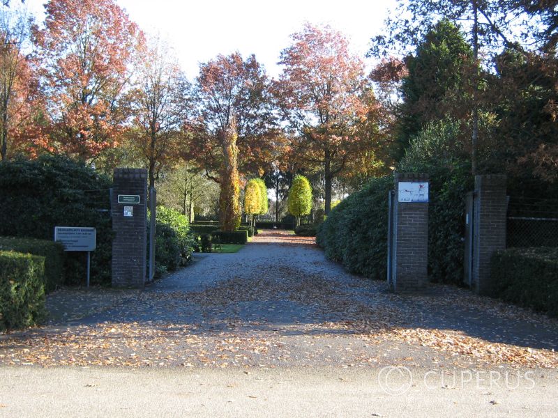 grafstenen Valkenswaard Begraafplaats Eikenhof