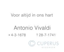 251 foto 1