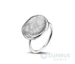 407 SW Zilver/ Goud
