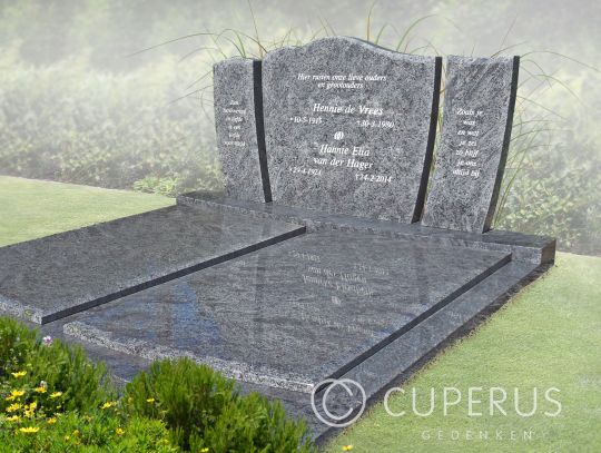 Robuust familiegraf met golfkop