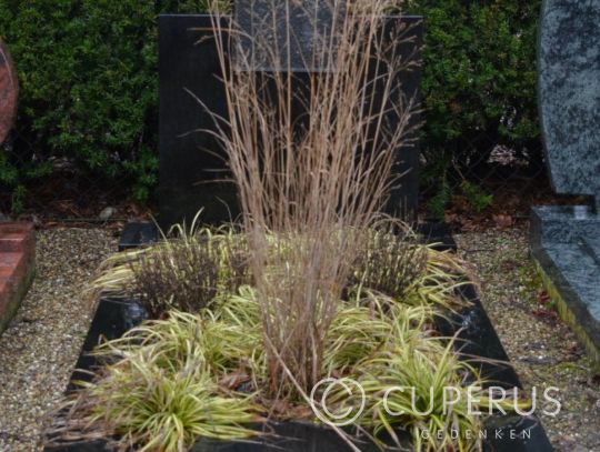 Enkel monument met vloer (23-zwo)