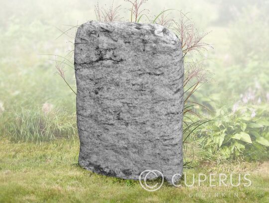 Enkel monument staand (81-zwo)