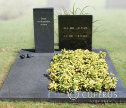 Familiegraf met 2 grafstenen