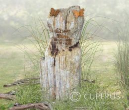 Grafmonument versteend hout