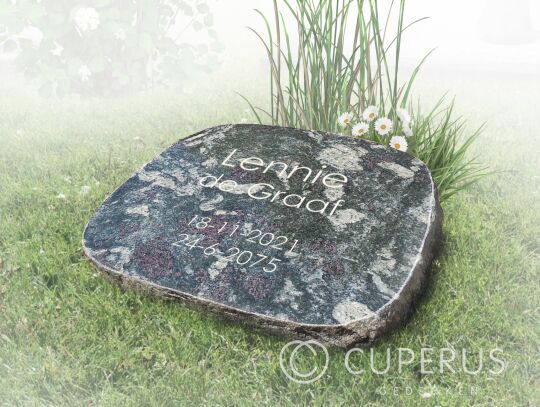 Grafmonument voor algemeen graf