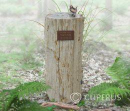 Grafsteen versteend hout boomstam