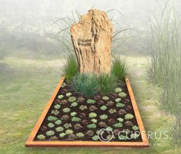 Grafsteen versteend hout