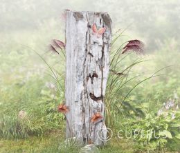 Grafzuil versteend hout