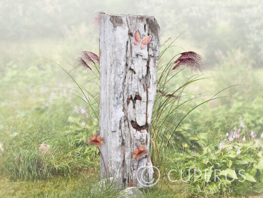 Grafzuil versteend hout