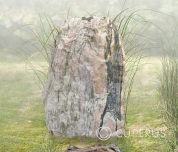 Natuurlijk grafmonument van kwartsiet