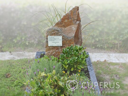 Natuurlijke ruwe grafsteen met tekstplaatje