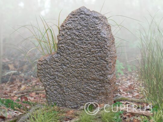 Natuurlijke ruwe grafsteen van Diabas