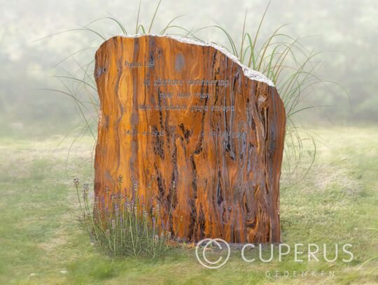 Natuurlijke ruwe grafsteen van Jaspis