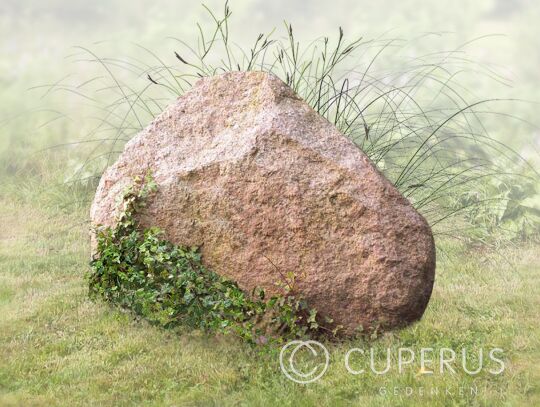 Natuurlijke zwerfkei met Bronzen letters