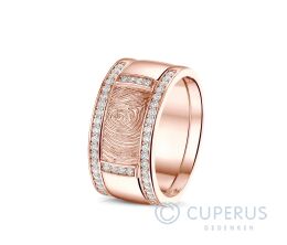 RR 004 + RR 006 Siders Goud