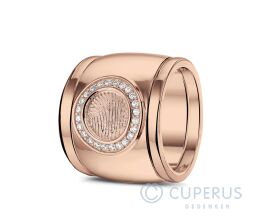 RR 007F + RR 005 Siders Goud