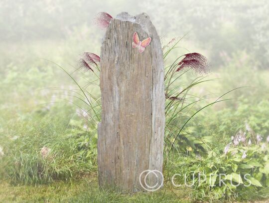 Ruwe grafsteen licht natuursteen