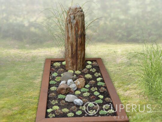 Versteend hout combinatie cortenstaal grafsteen 