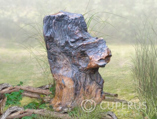 Versteend hout grafmonument