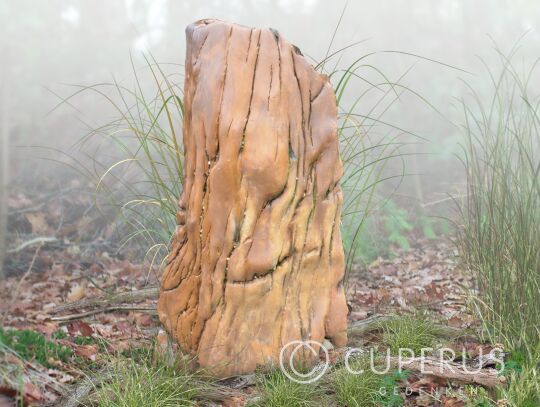 Versteend hout grafmonument