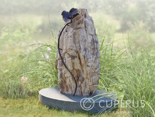 Versteend hout grafsteen