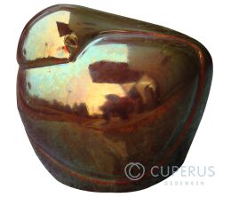 Vogel urn - Columba bronslook