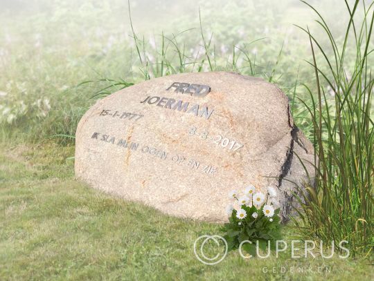 Natuurlijke ruwe zwerfkei met ijzeren letters