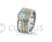 Asring Royals zilver en goud met hars foto 1
