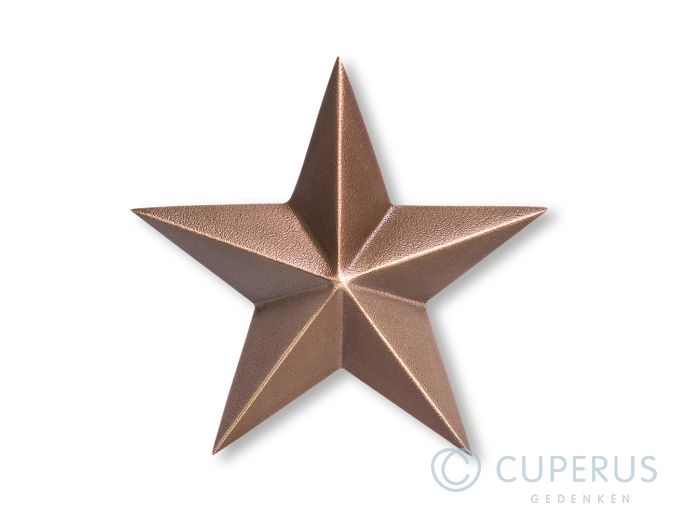 Bronzen ster foto 1