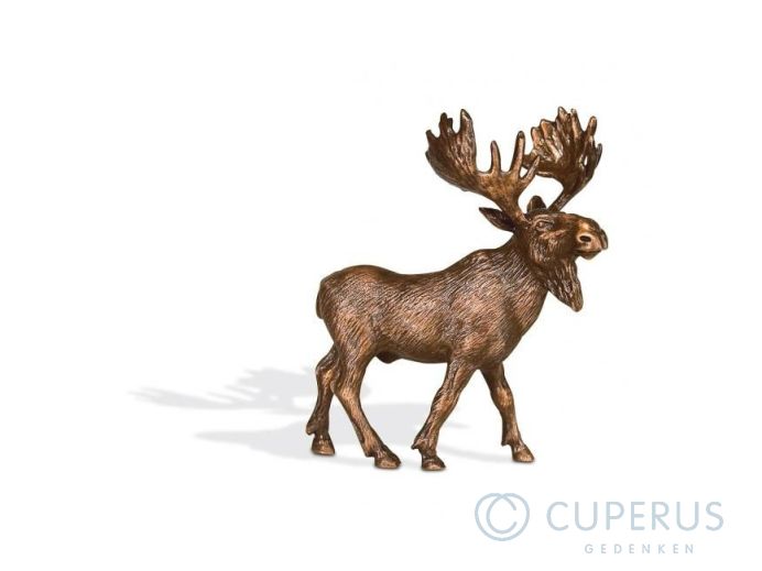 Eland foto 1