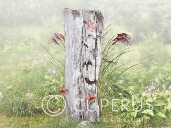 Enkel grafmonument van versteend hout met vlinder