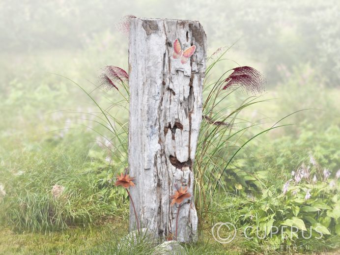 Enkel grafmonument van versteend hout met vlinder foto 1