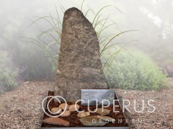 Enkel monument met vloer (160-zwo)