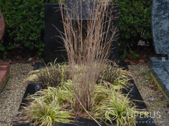 Enkel monument met vloer (23-zwo) foto 1