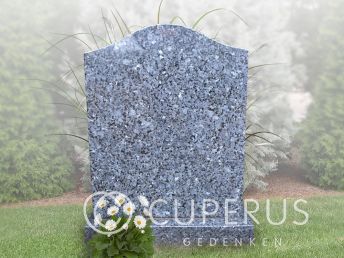 Enkel monument staand (91-zwo)