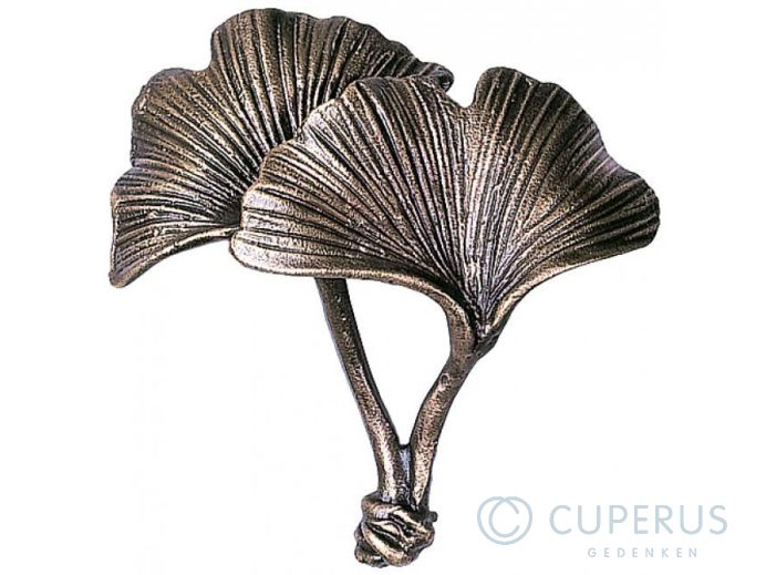 Ginko blad foto 1