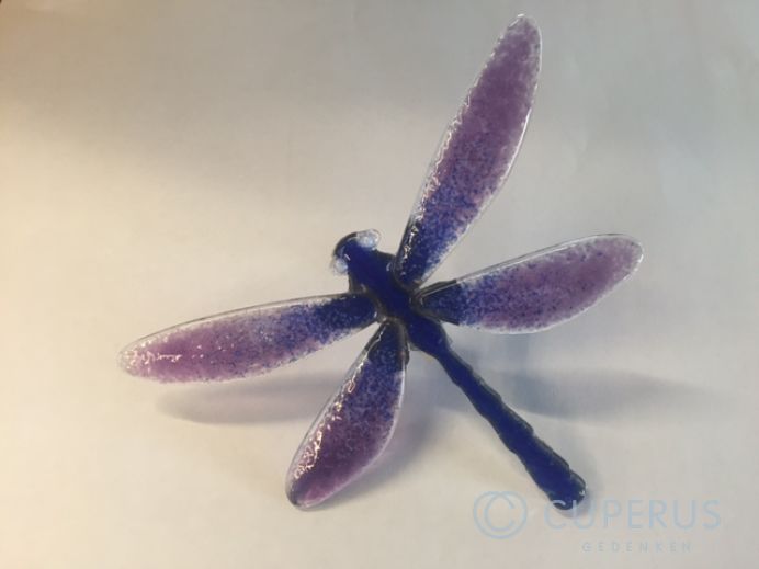 Glaslibelle foto 1
