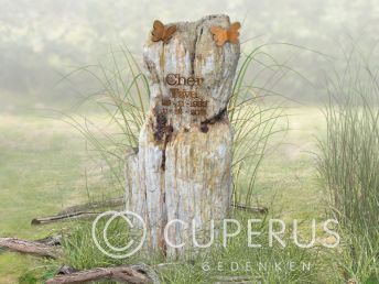 Grafmonument versteend hout