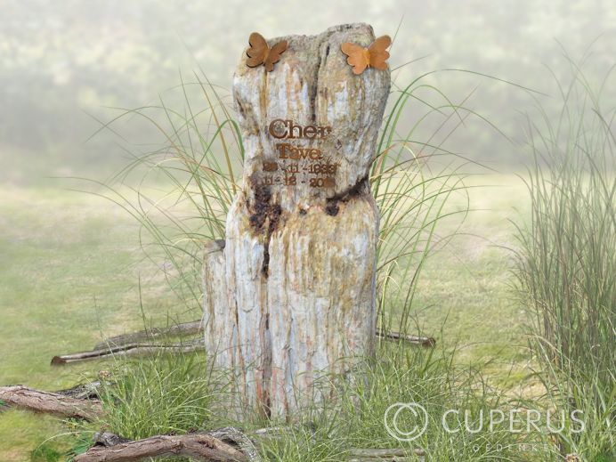 Grafmonument versteend hout foto 1