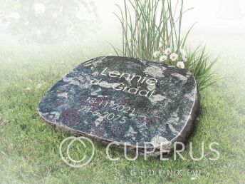 Grafmonument voor algemeen graf