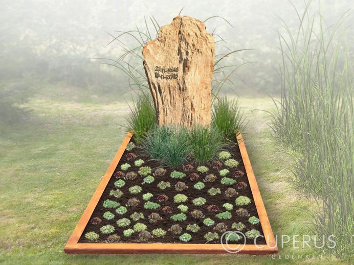 Grafsteen versteend hout foto 1