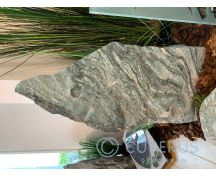 Green River ruw foto 1