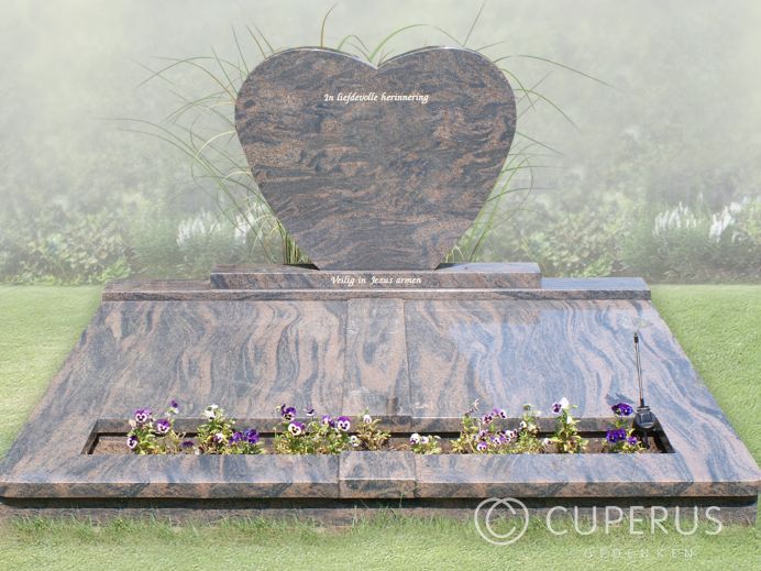 Hartvormige familie grafsteen van Himalaya graniet foto 1