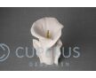 Keramische Calla bloem urn mat wit foto 1