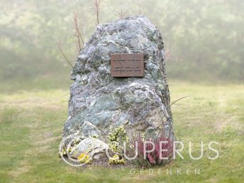 Natuurlijke ruwe grafsteen met Bronzen tekstplaatje